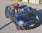 Miniatuur